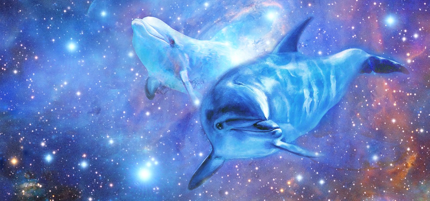 Image Etoile de Sirius et des maîtres dauphins